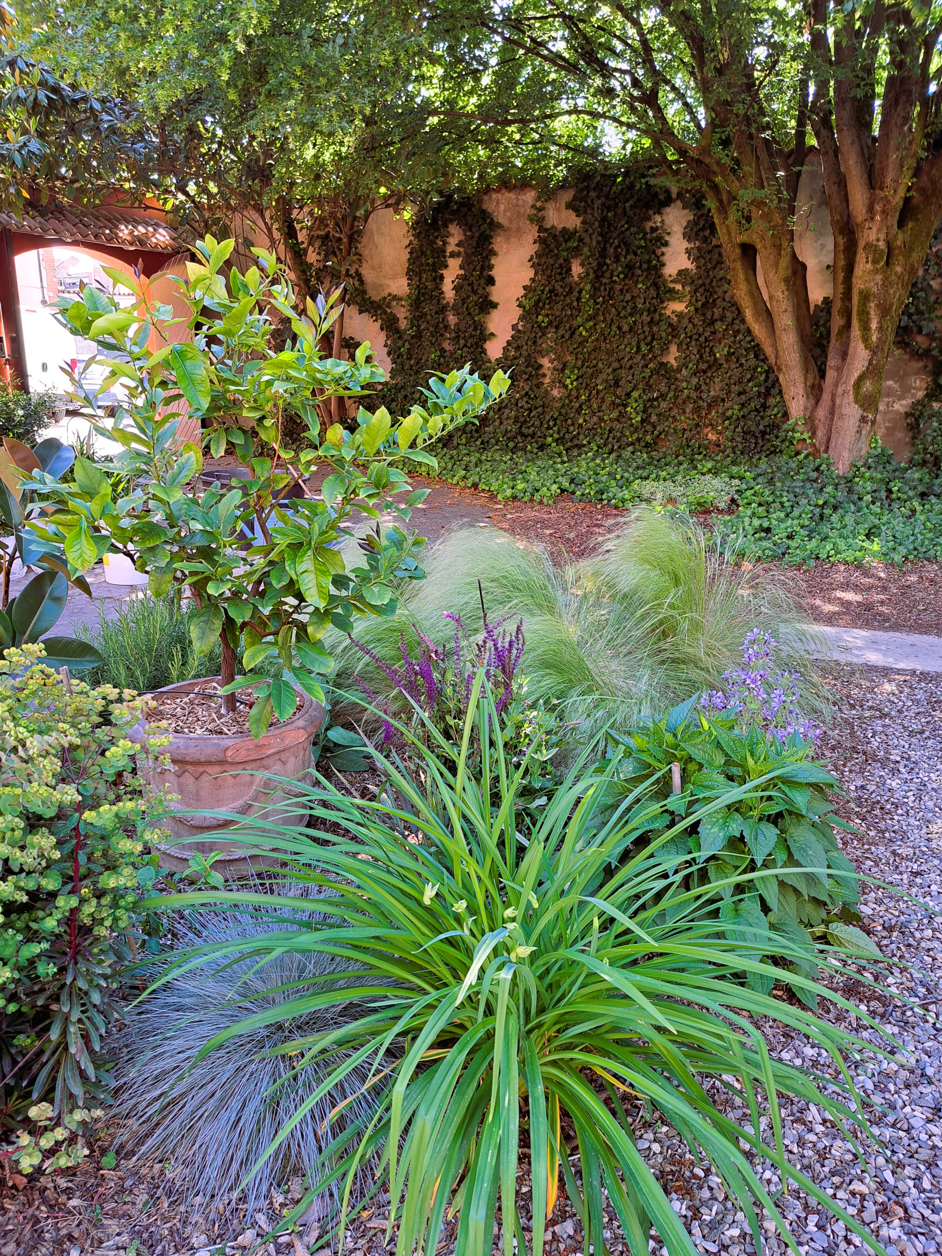 Giardino privato P.S.