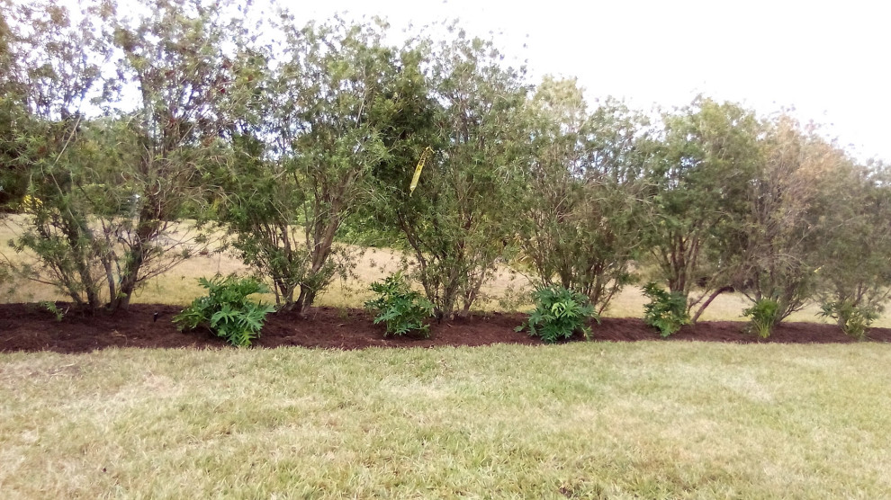 Inspiration for a privacy and full sun side yard mulch landscaping.
