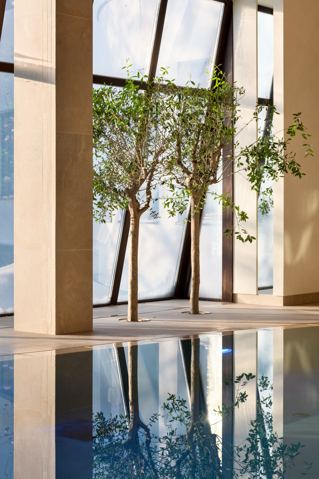 Бассейн в частном доме