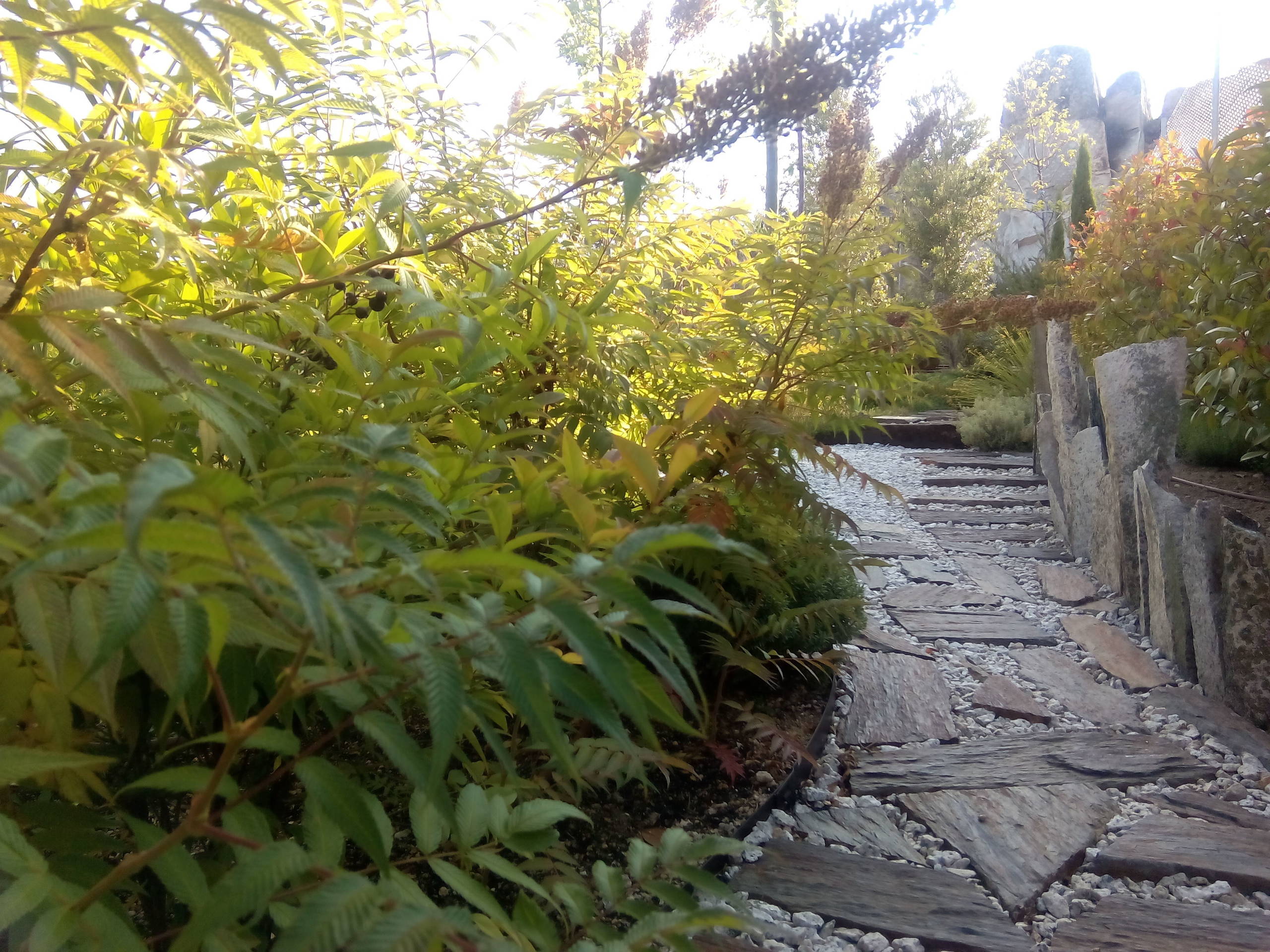 Jardín en la Sierra Norte