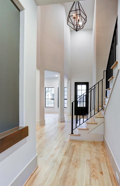Example of a minimalist light wood floor foyer design in Houston with white walls and a black front door