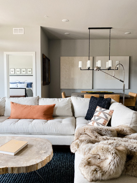 Held Home | Denver, CO | Modern Living Spaces Renovation