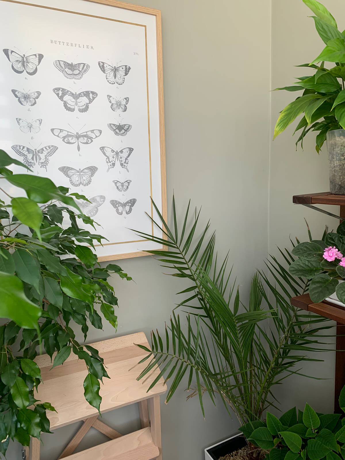 Уютное пространство