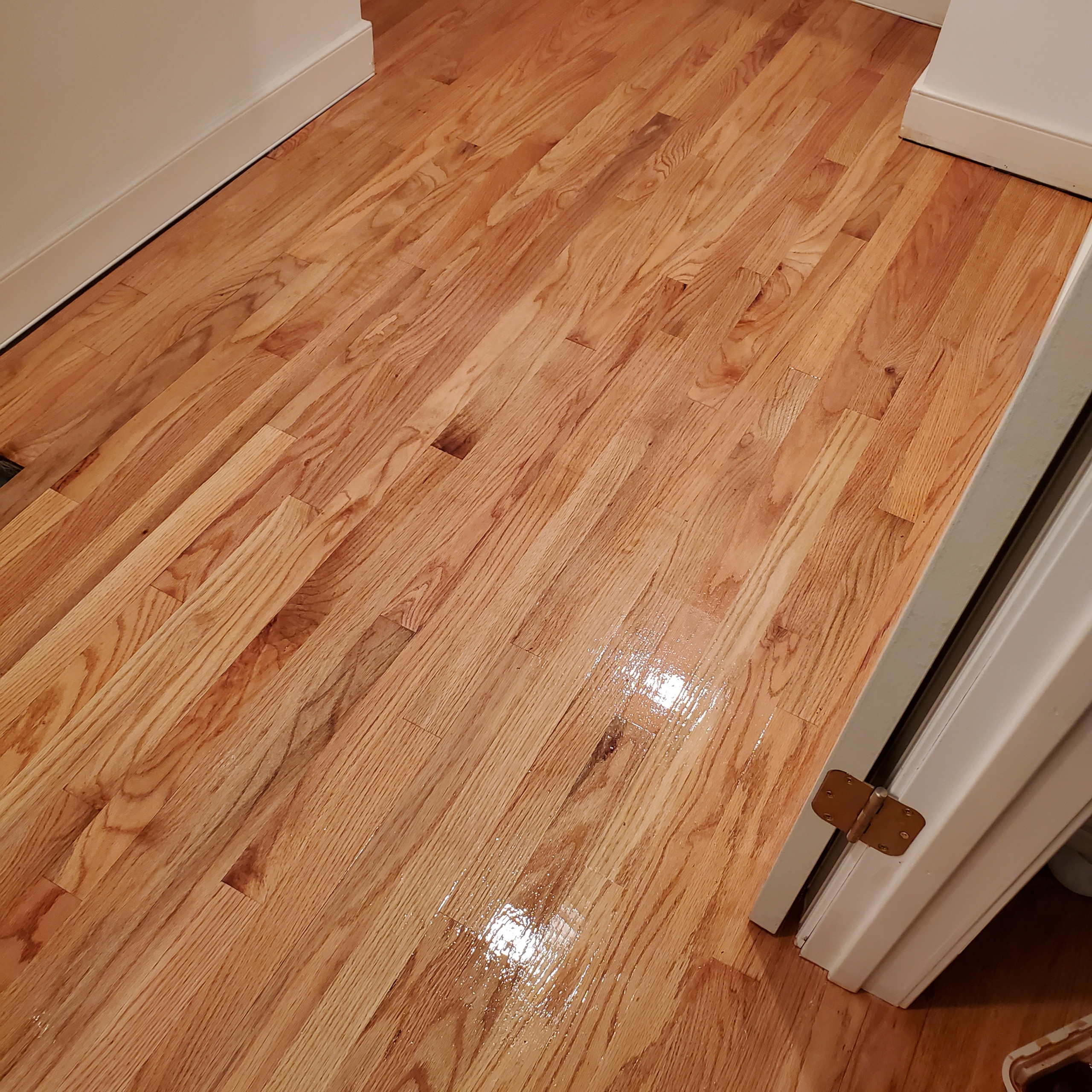 Bathroom to a walk-in closet