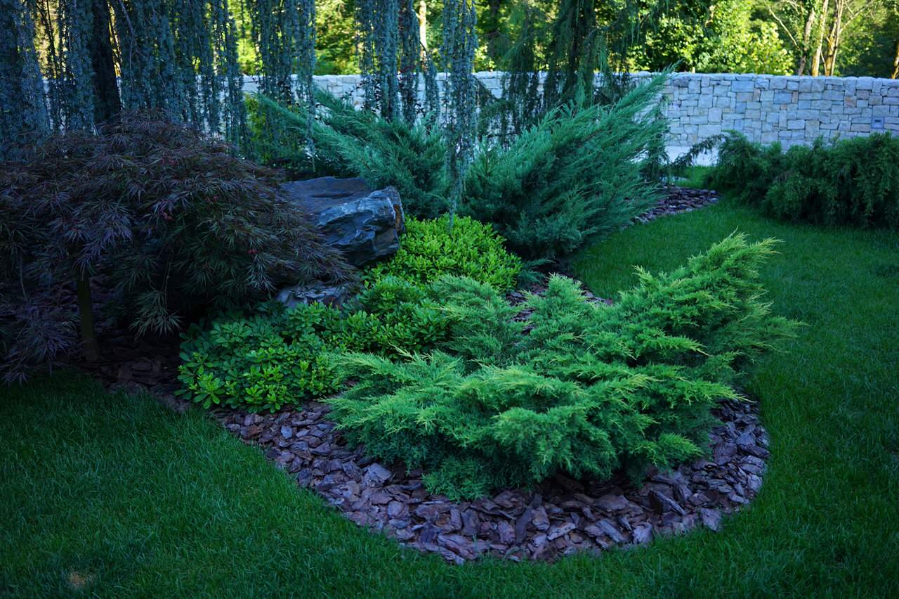 Лазурный Берег Сочи