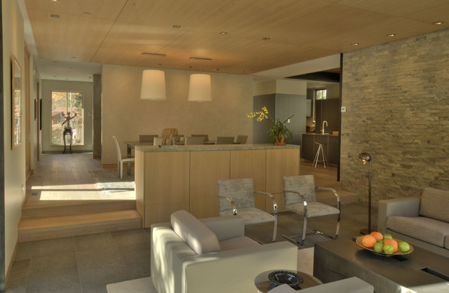 E CUMMINGS Architect PC contemporary-vardagsrum