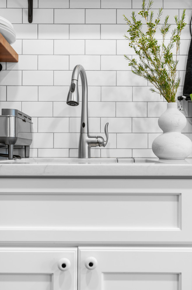 Inspiration for a transitional home design remodel in Chicago