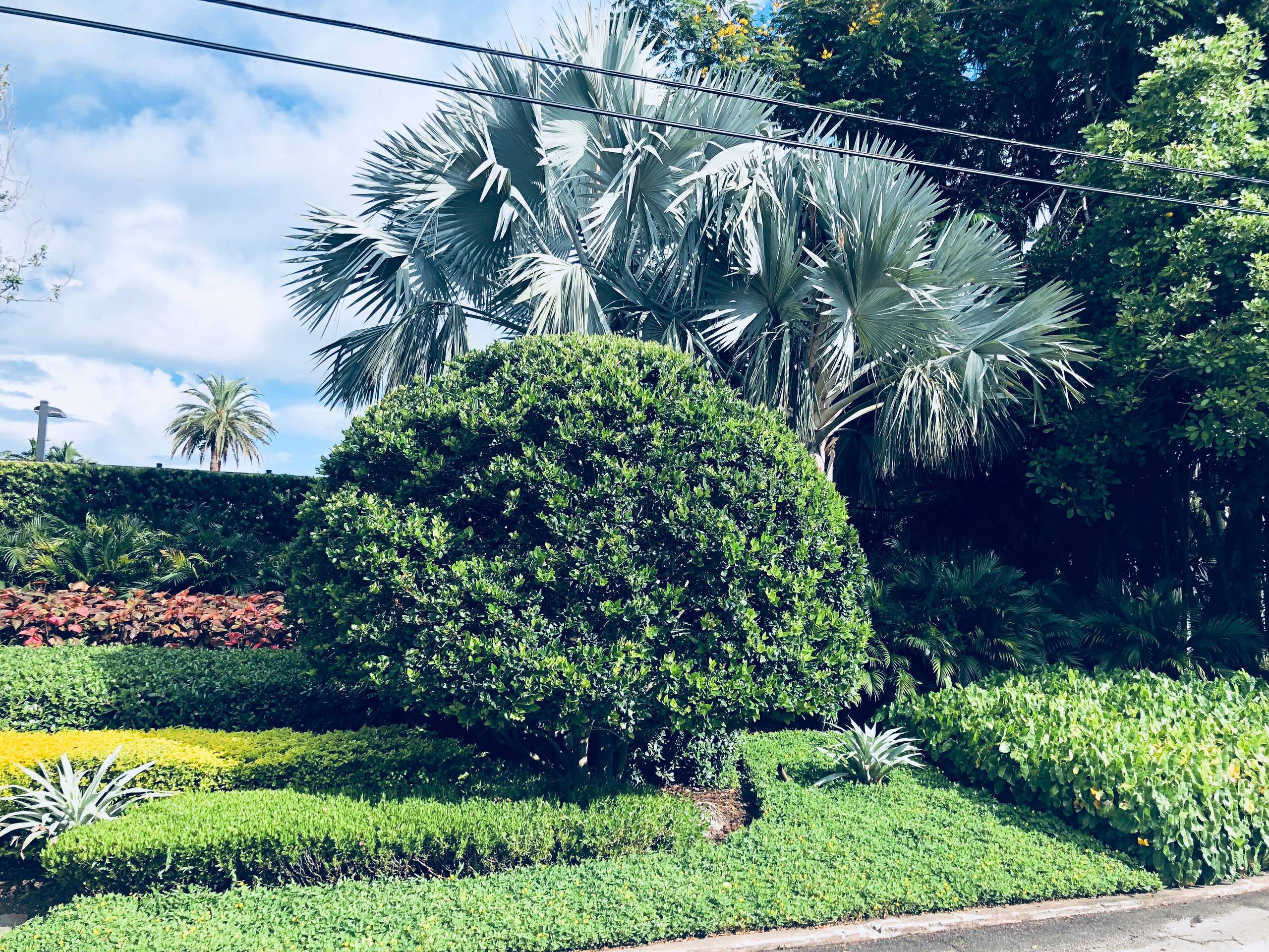 North Bay Road, Miami Beach