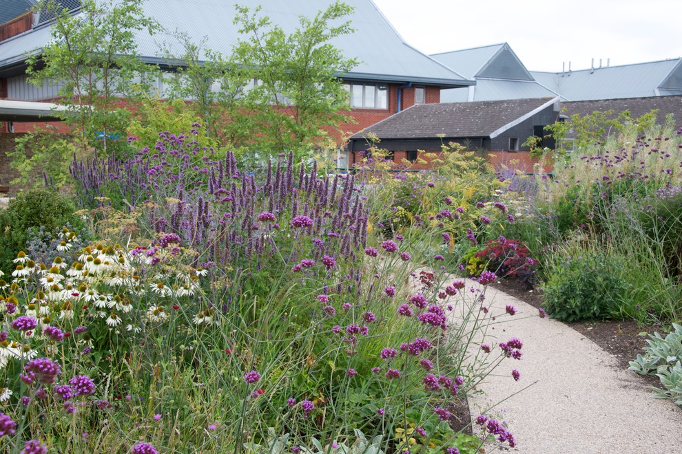 Photo of a garden in West Midlands.