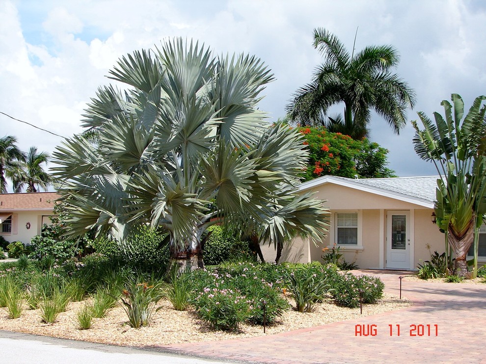 Our Work Exotique Miami par Evergreen Irrigation & Landscaping Houzz