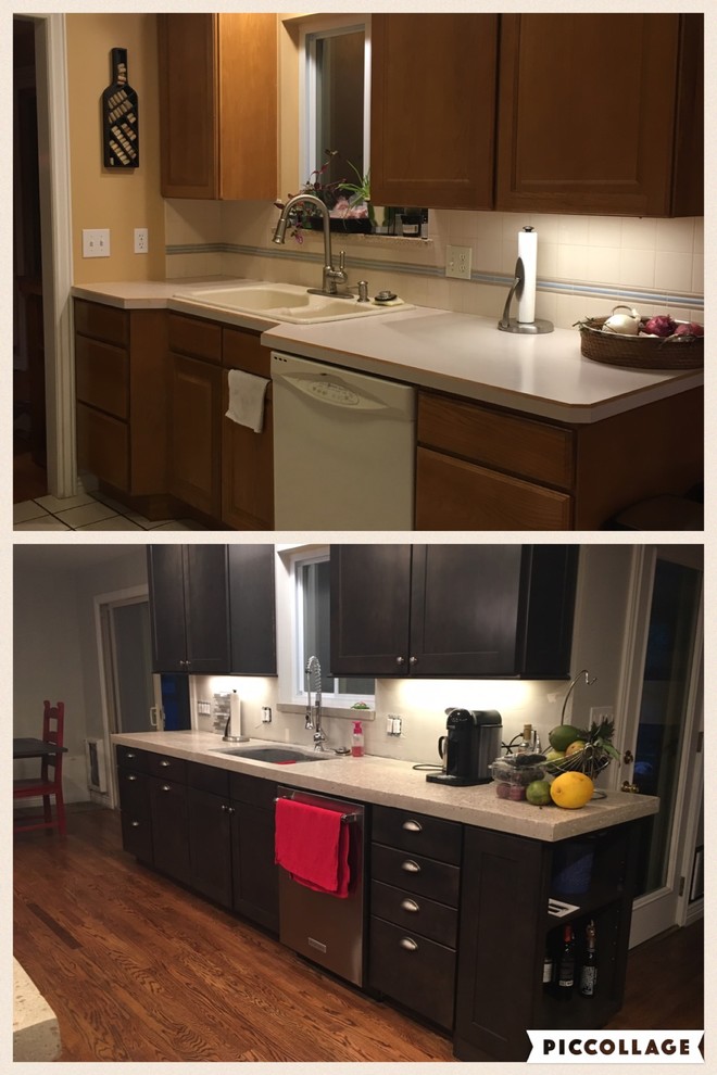 Kitchen - transitional kitchen idea in Denver