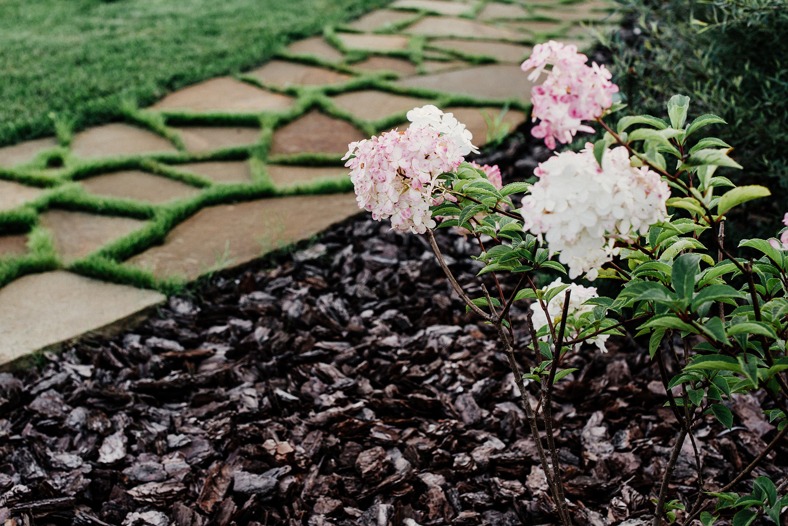 Агропустынь