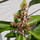 Last commented by mango mango