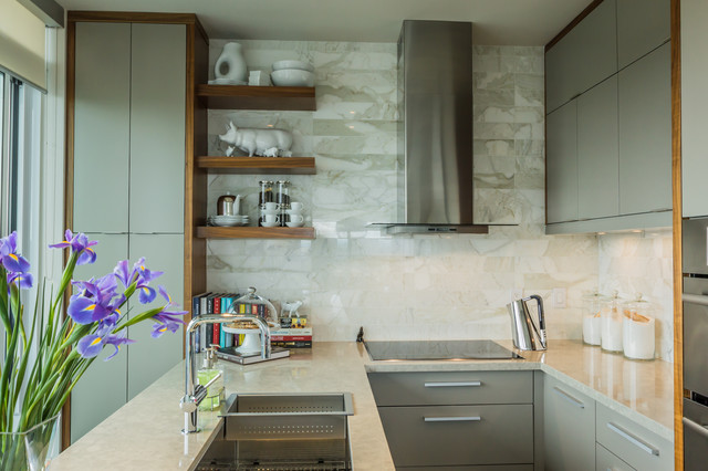 Sky Condo contemporary-kitchen