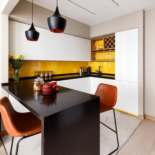 Echo contemporary-kitchen