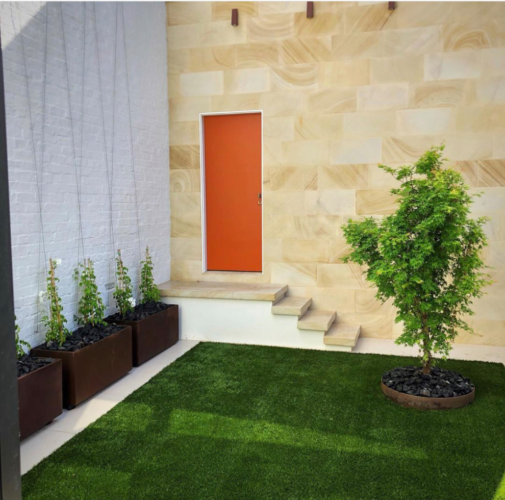 Photo of a small contemporary courtyard full sun garden for spring in Sydney with a vertical garden and natural stone pavers.