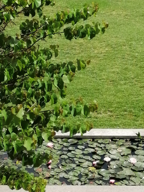 NINFEO modern-garten