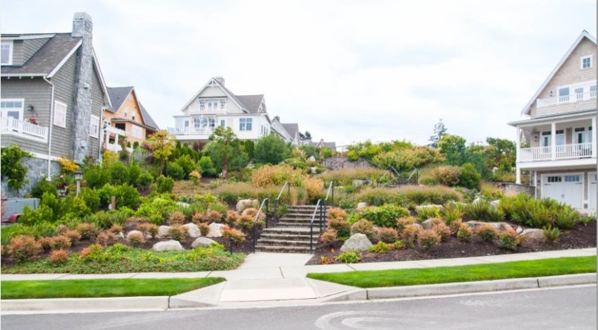 LANDSCAPE DESIGN & INSTALLATION