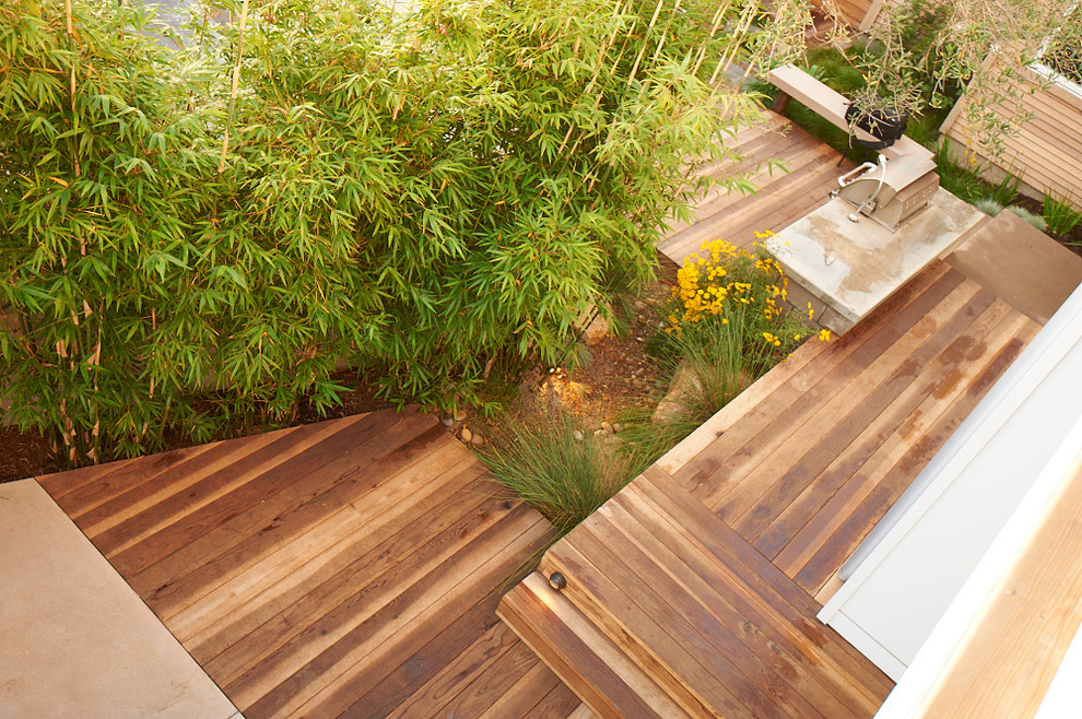 Inspiration for a mid-sized modern backyard garden in San Diego.