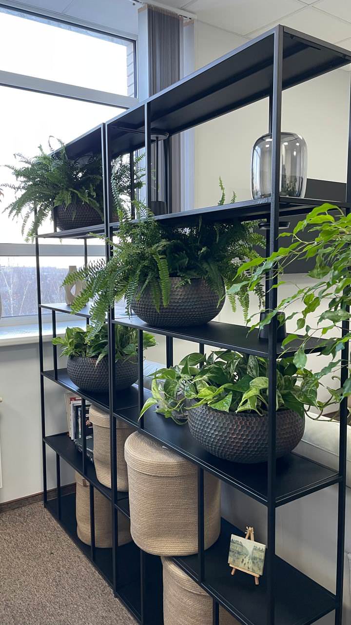 Озеленение офиса компании "ROBE GARDEN"