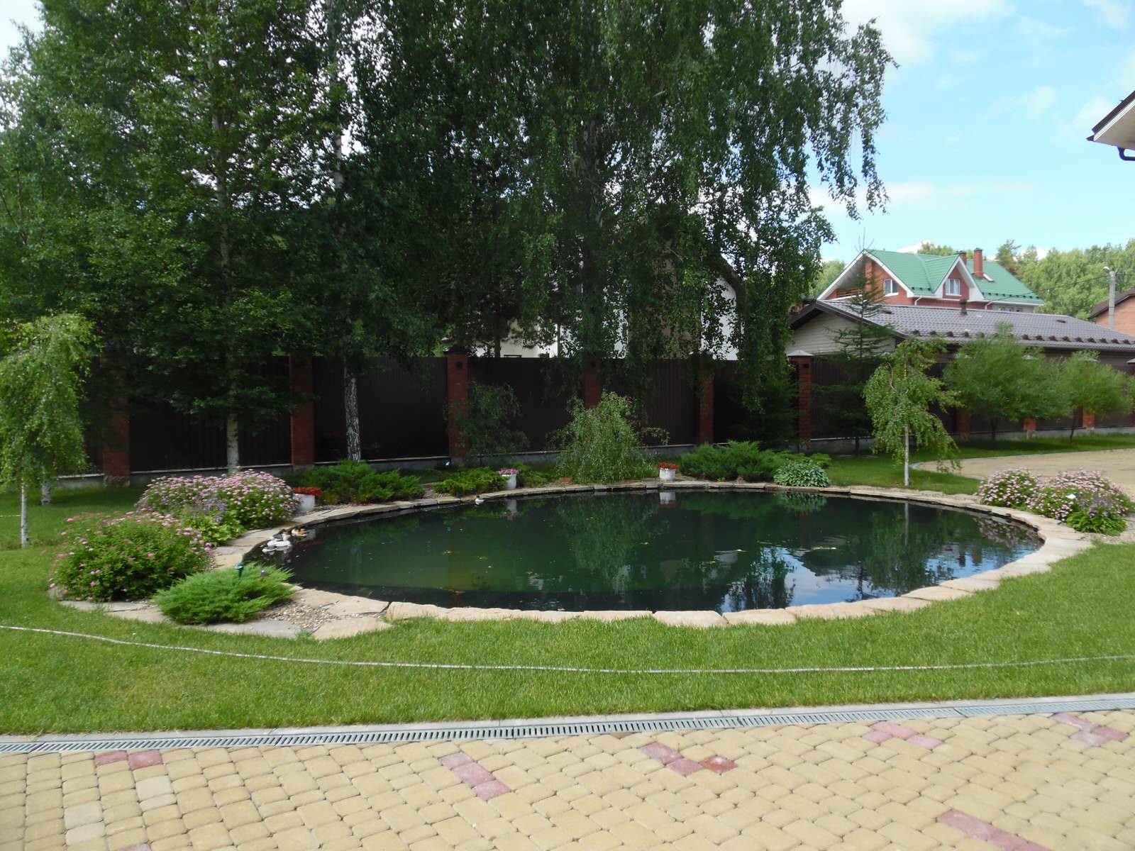 Современный сад с большим прудом.