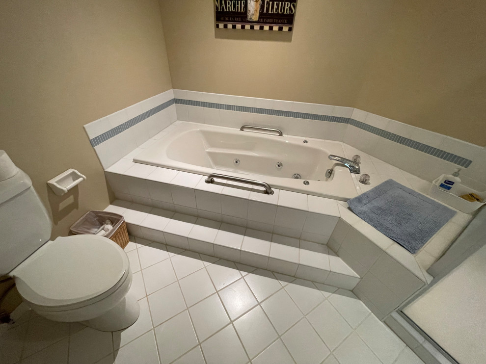 Eden Prairie, MN Bathroom
