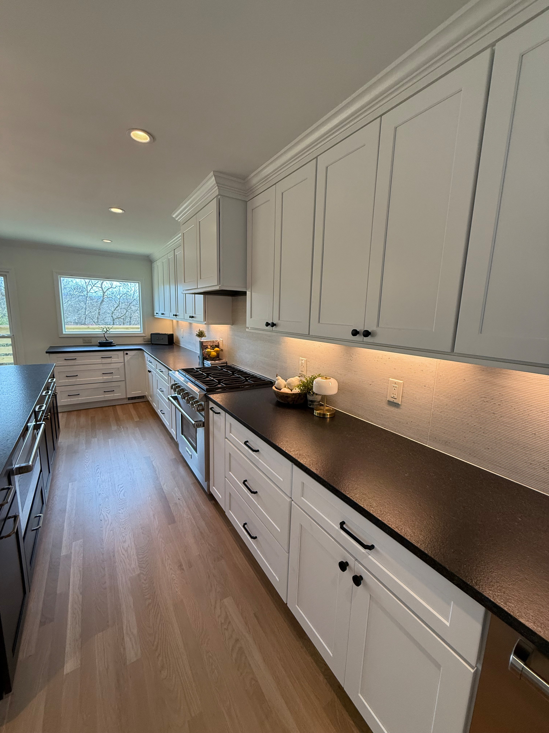 Franklin Complete Kitchen and LR Reno