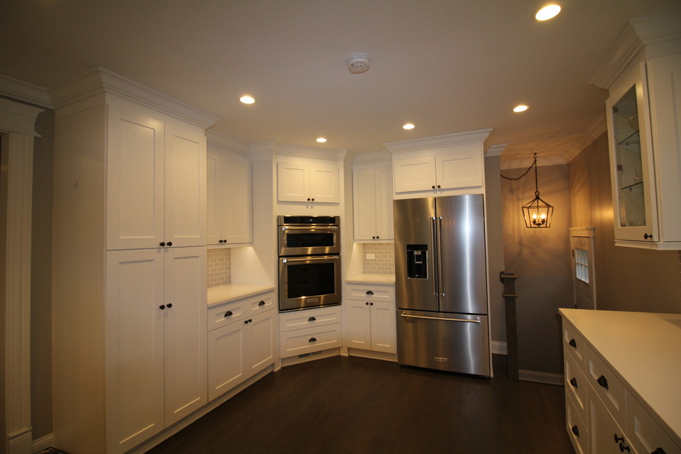 Example of a transitional home design design in Chicago