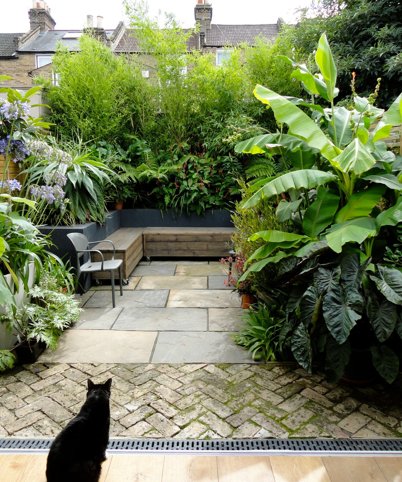 Tropical patio in London with a container garden and no cover.