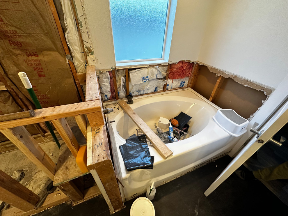 Master Bathroom Remodel