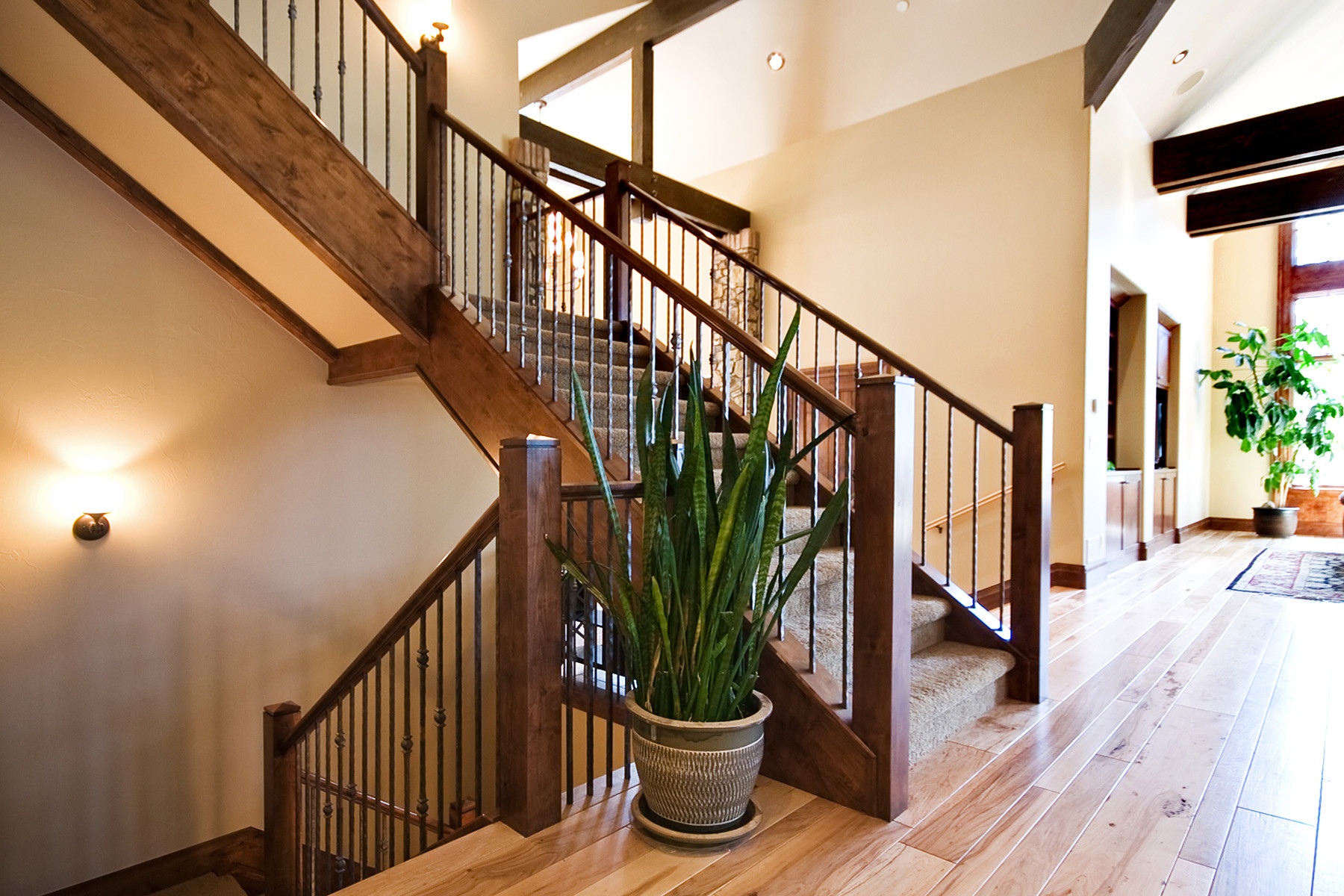 Castle Pines Mountain Rustic