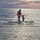 webuser_4141305