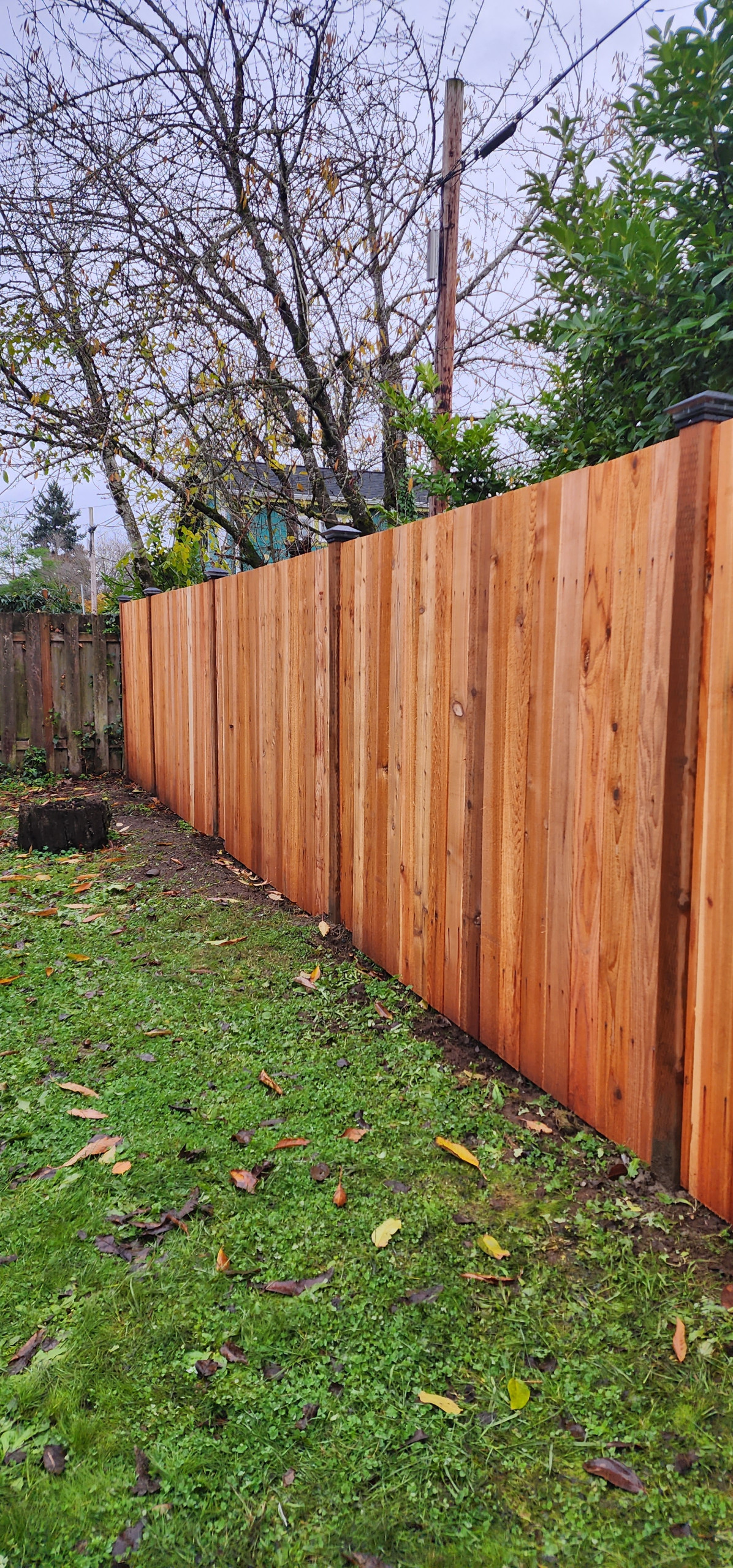 Fence and small concrete work