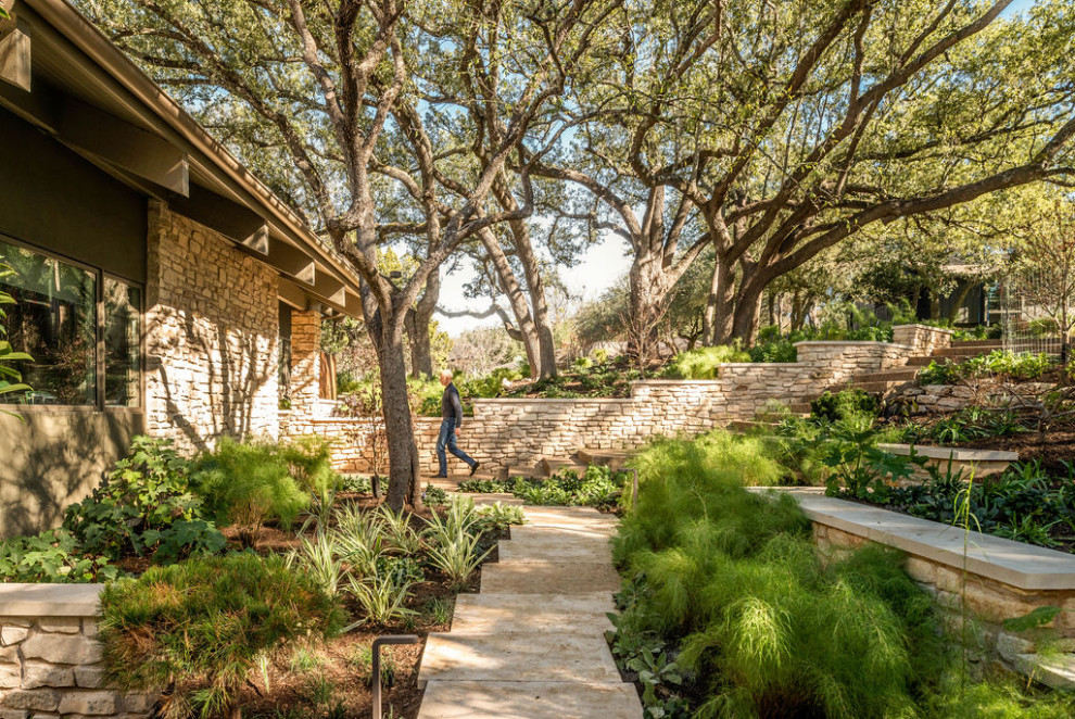 Photo of a midcentury garden in Austin.