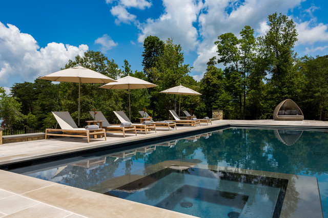 Anne Buresh Interior Design contemporary-swimming-pool-and-hot-tub