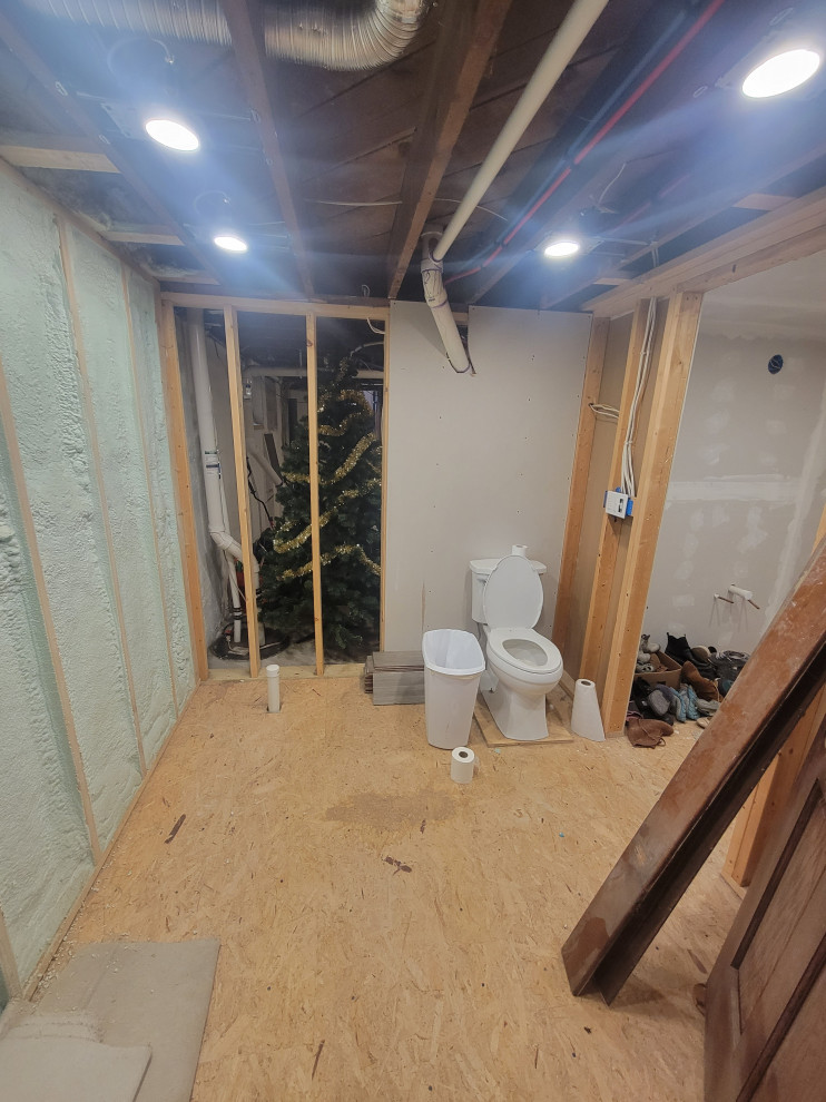 Basement Bathroom