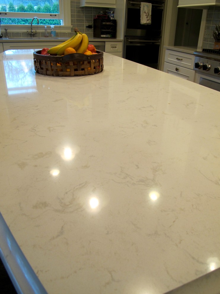 Example of a transitional home design design in Chicago