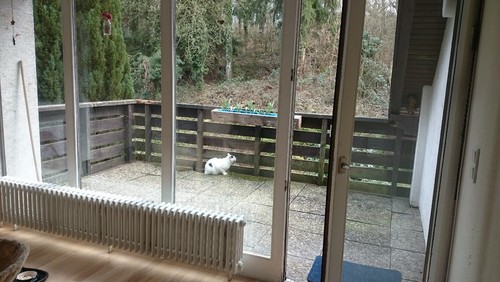 Hilfe bei der balkon gestaltung