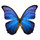 Last commented by bttrflii