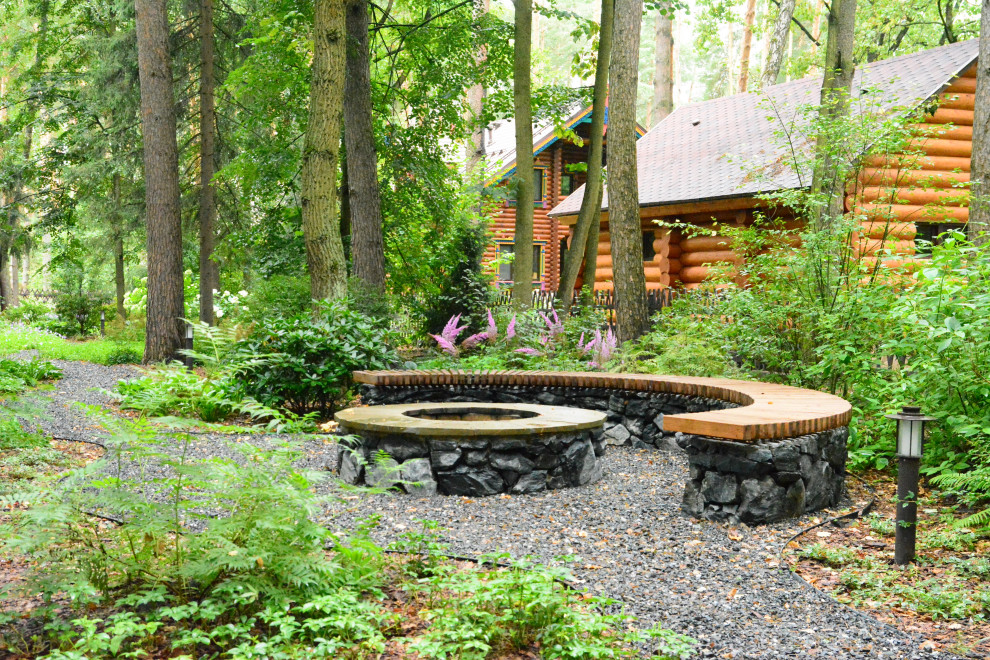 Заповедный бор