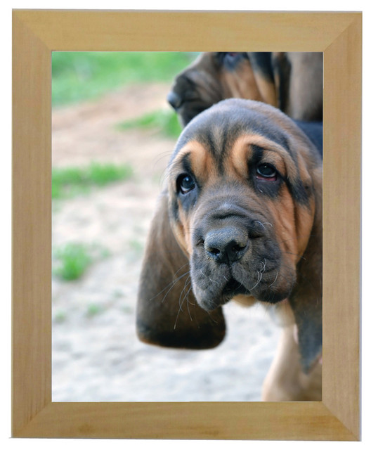 Natural Unfinished Basswood, 1.5" Wide, Economy Empty Frame, 8"x10" Contemporary Picture