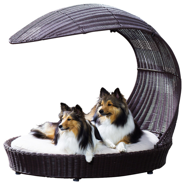 Outdoor Dog Chaise Lounger Contemporary Dog Beds by The Refined