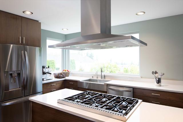 Samish Neighborhood Kitchen Remodel contemporary-kitchen