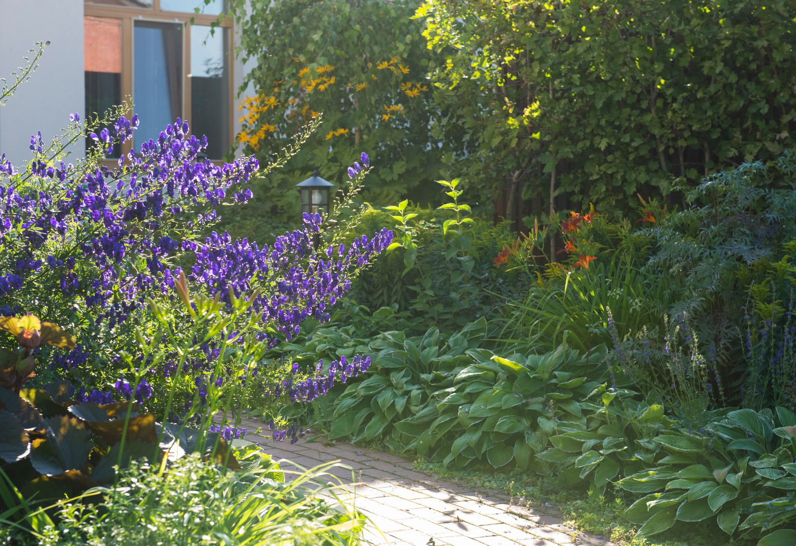 Большой сад в пригороде