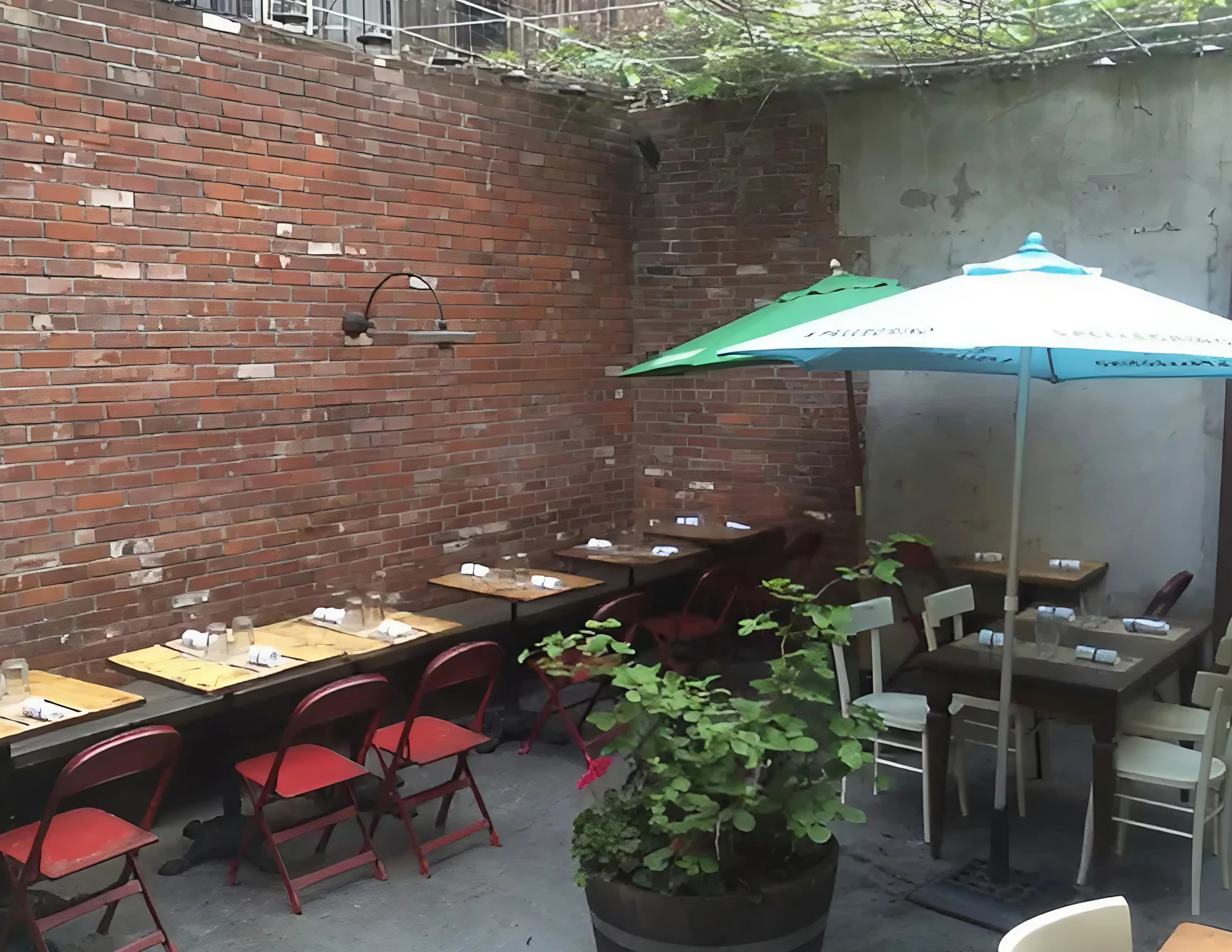 EXISTING REAR YARD