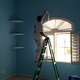 Chads Independent Painting