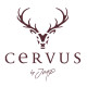 Cervus by JMP