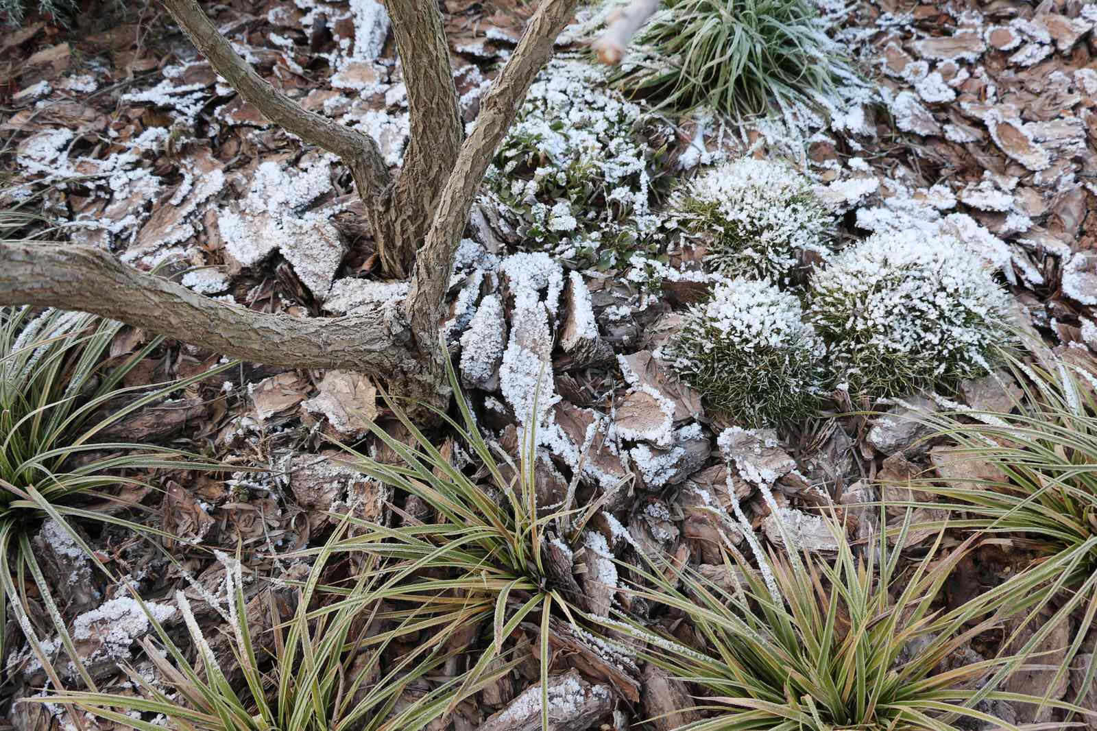 Светлогорье