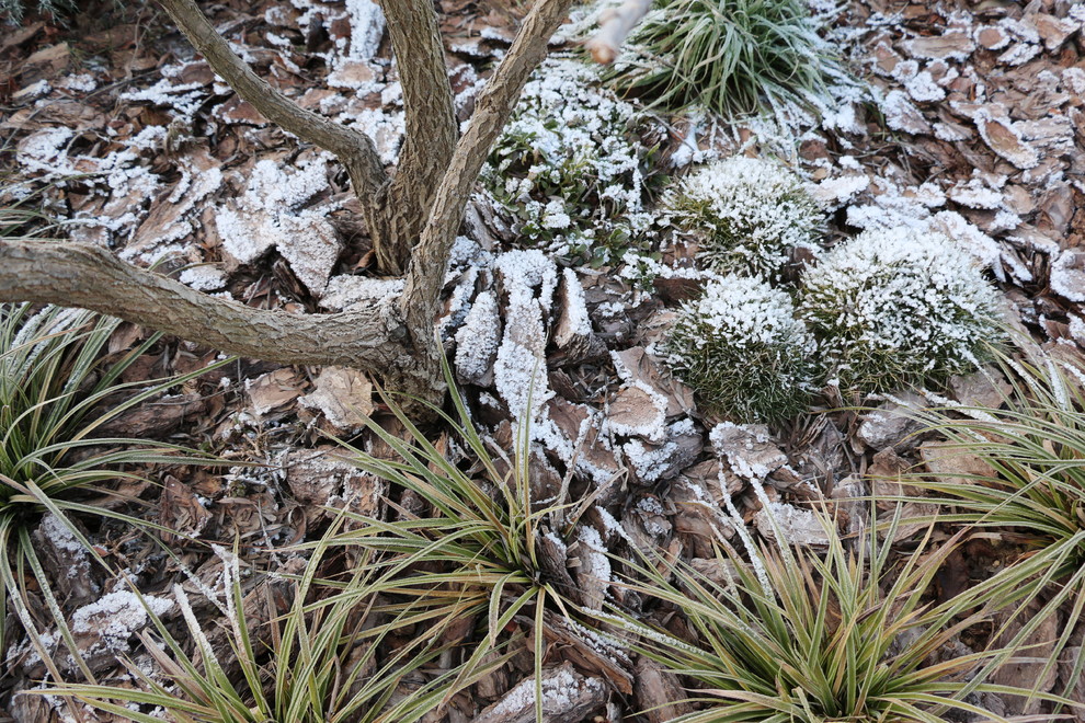 Светлогорье