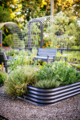 12 Edibles Perfect to Plant in Late Summer